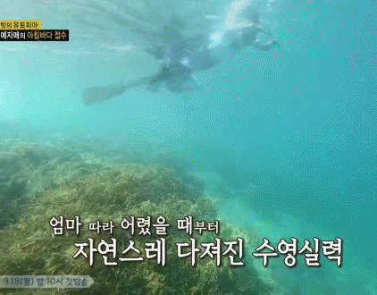 YerinLOTJ00.gif