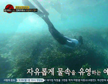 YerinLOTJ02.gif