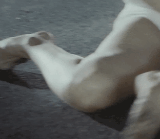 gif (20140801-2310).gif